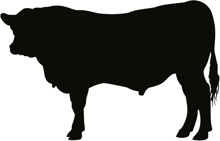 Angus, Bull, bovins, vache, art, oeuvre, silhouette