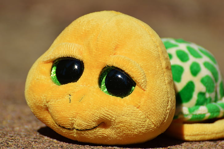 turtle, stuffed animal, soft toy, toys, cute, glitter eyes, funny
