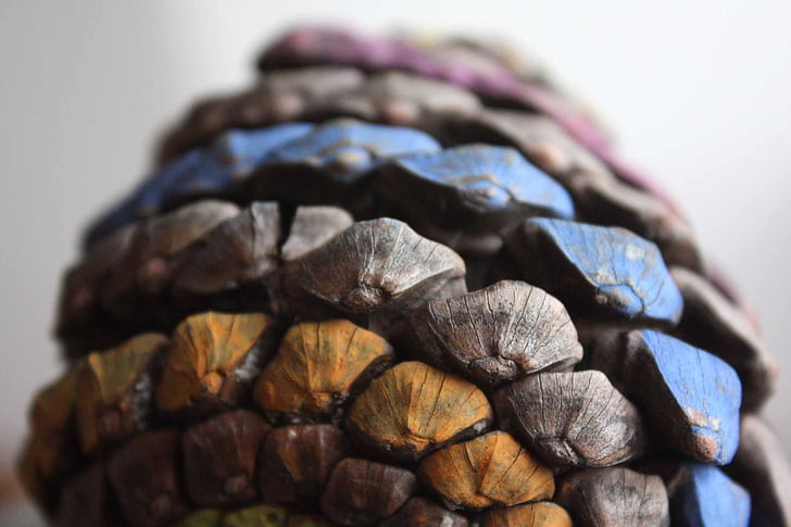 cone, decoration, nature, wood, colorful, texture, close-up