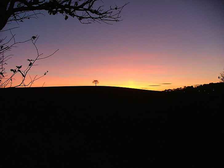 solnedgång, stonnal, Aldridge, West midlands, träd, ensam, Hill