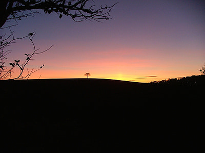 solnedgång, stonnal, Aldridge, West midlands, träd, ensam, Hill