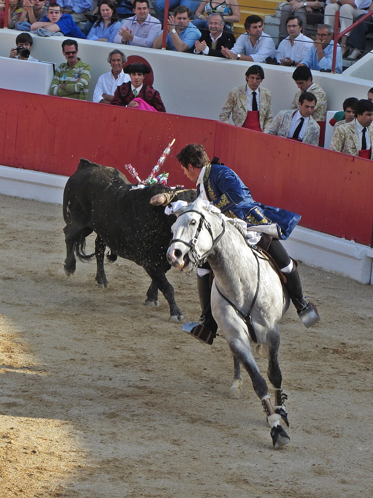 bulių kautynes, torero, Portugalija, legendinio toreadoro