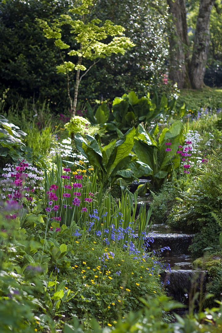 Hillside garden, istutus, pensaat, puut, rauhallinen, Cotehele house, Cornwall