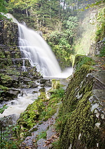 cascata, acqua, foresta, cascata, diretta streaming, natura, Priorità bassa dell'acqua