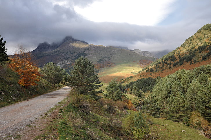 montagne, Pyrénées, vallée de, l’automne, route