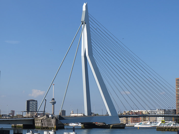 Rotterdam, metropola, most Erasmus, maraton
