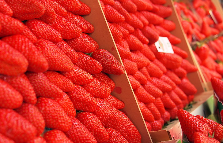 Κλείστε, φωτογραφία, φράουλες, κόκκινο, φράουλα, φρούτα, τροφίμων