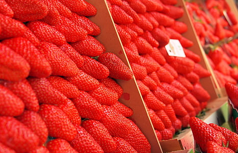 Stäng, Foto, jordgubbar, röd, jordgubbe, frukter, mat