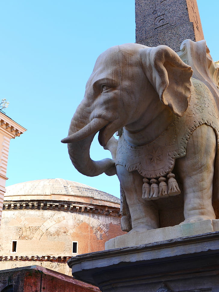 elephant, bernini, rome, proboscis, sculpture, stone figure, stone