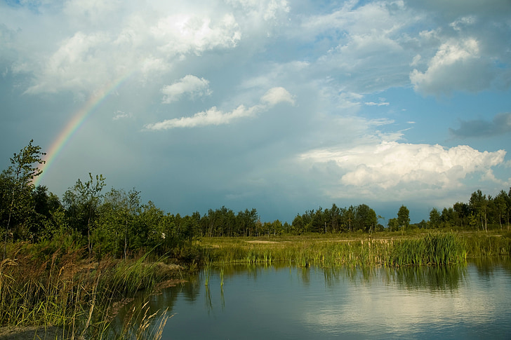 lake, screen, landscape, summer, cloud, nature, sky
