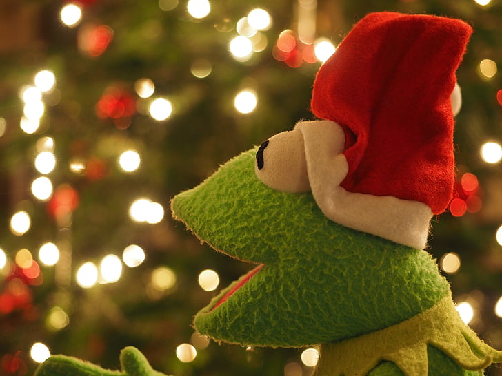 kermit, frog, christmas frog, christmas, santa claus, cheerful, funny