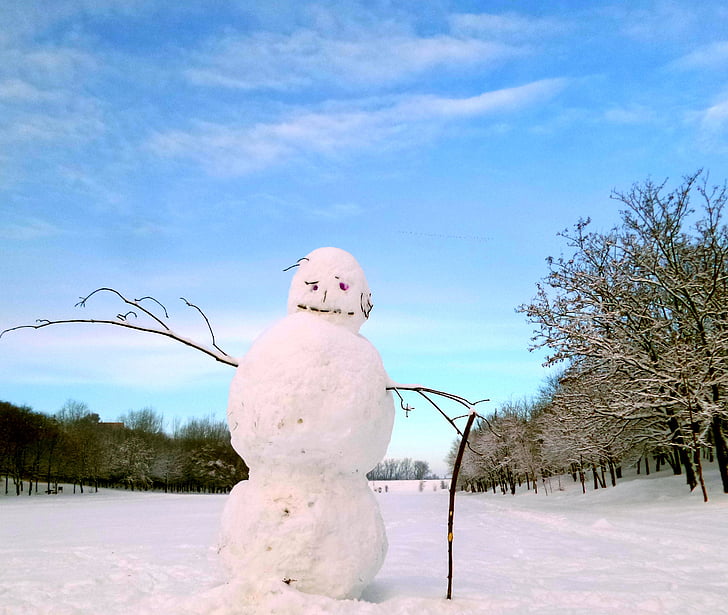 lumememm, talvel, lumi, külma - temperatuuri, puu, Õues, jõulud