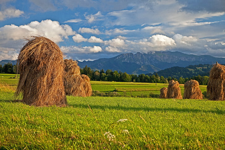 hay, poland, podhale, mountains, tatry, polish tatras, mountain range