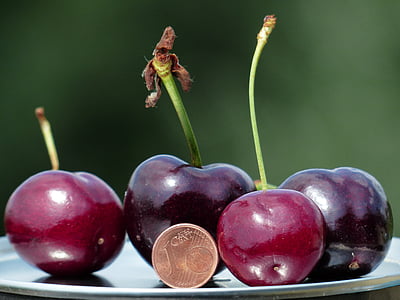 cherries, large, huge, size comparison, cent, penny, coin