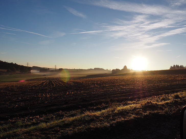 polje kukuruza, izlazak sunca, jutro magla, magla, Sigurnosno svjetlo, Sunce, zalazak sunca