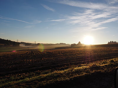 cornfield, sunrise, morning mist, fog, back light, sun, sunset