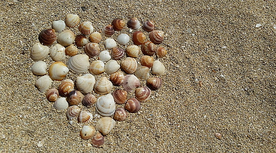 paplūdimys, širdies, meilė, smėlio, jūros kriauklių, pajūrio, kranto