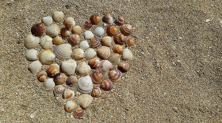 hjärtat, musslor, harmoni, Kärlek, Jag älskar dig, hjärtat i sand, stranden