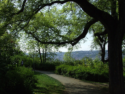 Park, Stuttgart, puu, puhkekompleks, seisukohast