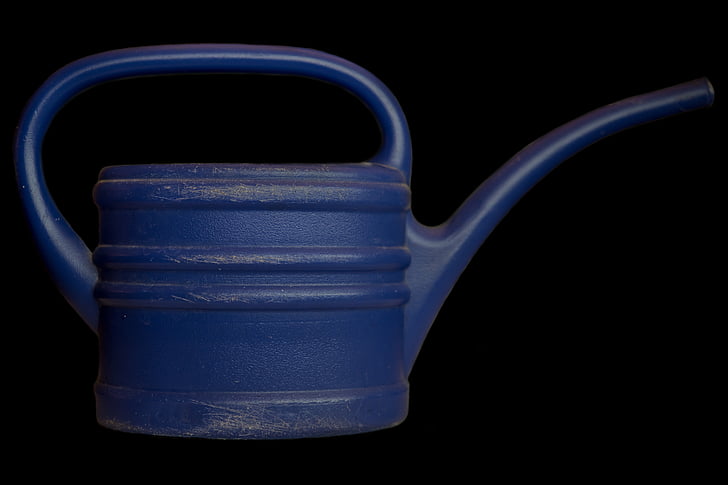 watering can, plant care, blue, water, plant, flowers, care