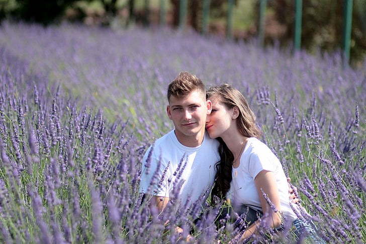 couple, lavender, love, romance, happiness, beauty, nature