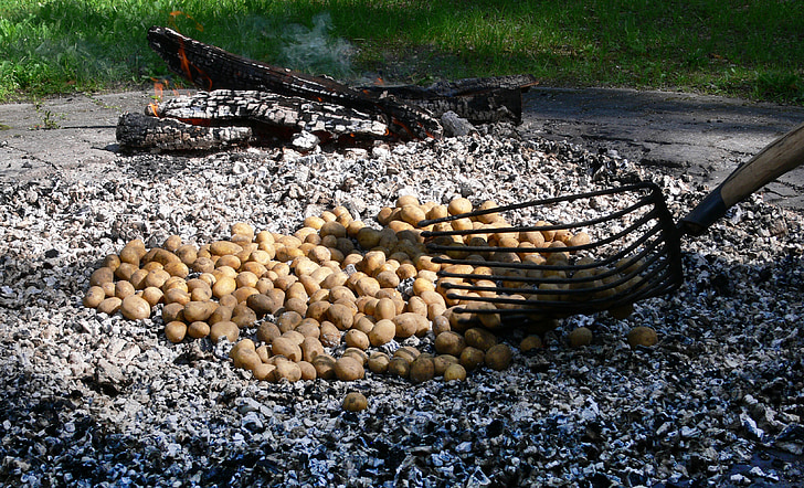feu de pommes de terre, rôti de pommes de terre, braises, manger, boisson, automne, pomme de terre