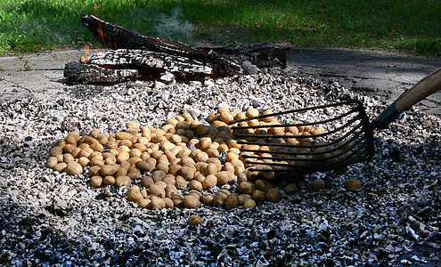 马铃薯火, 土豆烤, 余烬, 吃, 饮料, 秋天, 马铃薯