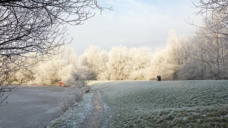 Park-Weg, Schnee, Kälte, Eis, Park, Gärten, Winter