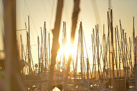 mastros, vela, Barcos, Marina, Porto, pôr do sol, luz de fundo