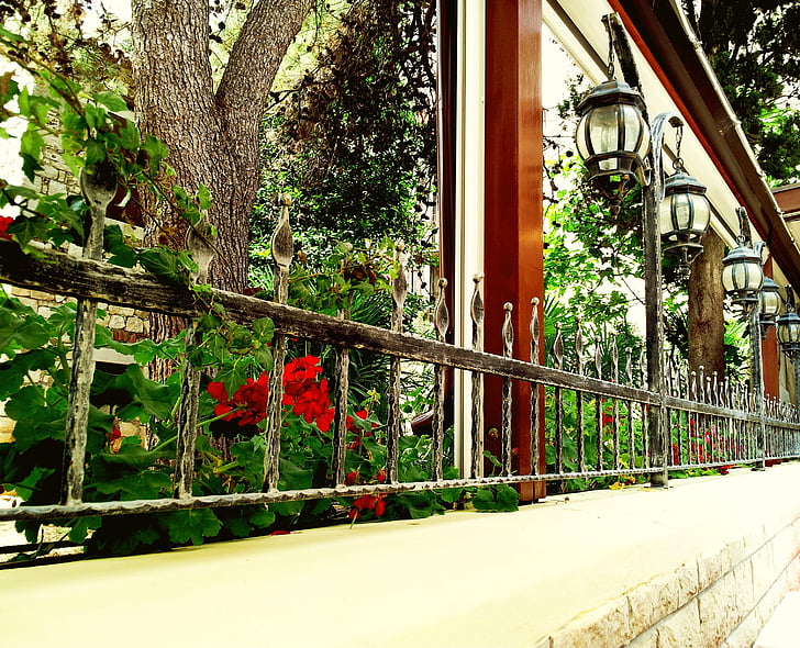 gėlės, langas, pelargonija, terasa, gatvių apšvietimas, sodas, lauko restorane