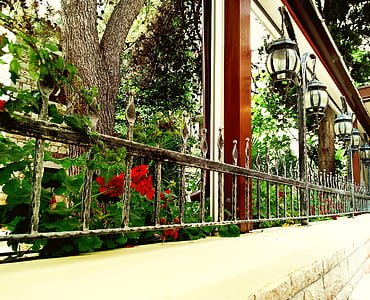 Цветы, окно, Герань, Терраса, уличные фонари, Сад, Открытый ресторан