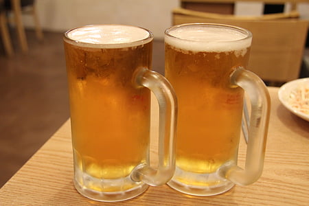 draft beer, beer, hof