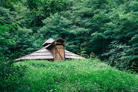 Cottage, ngôi nhà, gỗ, rau xanh, cũ, lô cốt, cabin