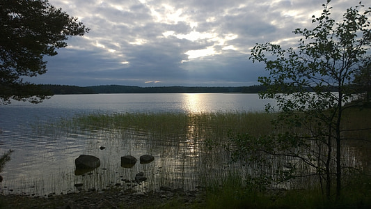 tó, nyári, víz, természet, nézet, nyugodt, békés