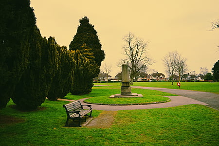 Parc, arbres, Banc, Memorial, verd, herba, Eastbourne