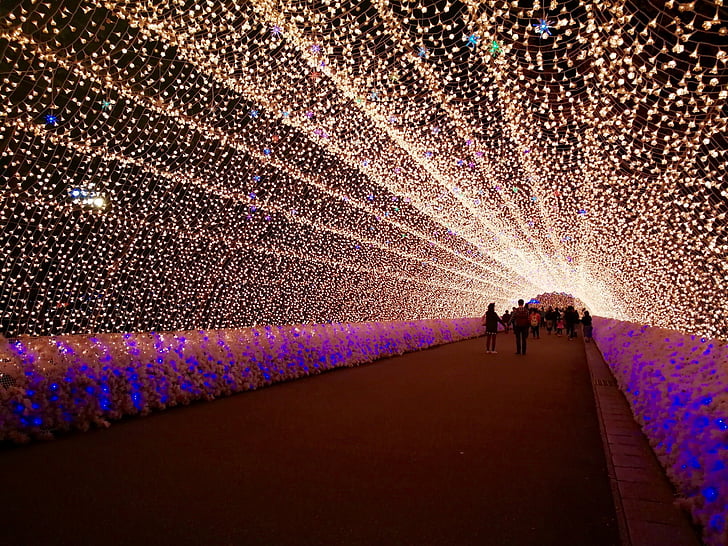 осветление, Япония, светлина, нощ, празник, хора
