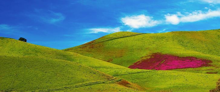 verde, hierba, cubierto, colinas de, durante el día, campos, azul