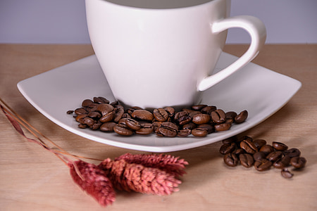 Cup, korn kaffe, kaffe, stilla liv, Grain, potta