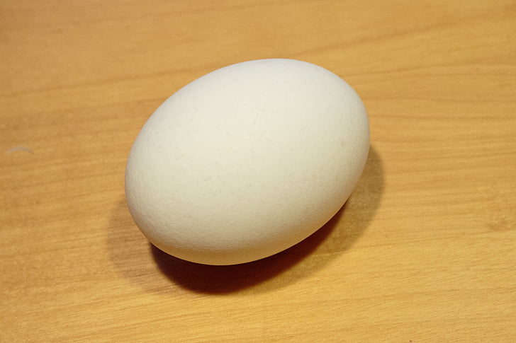 huevo, Blanco, madera, base