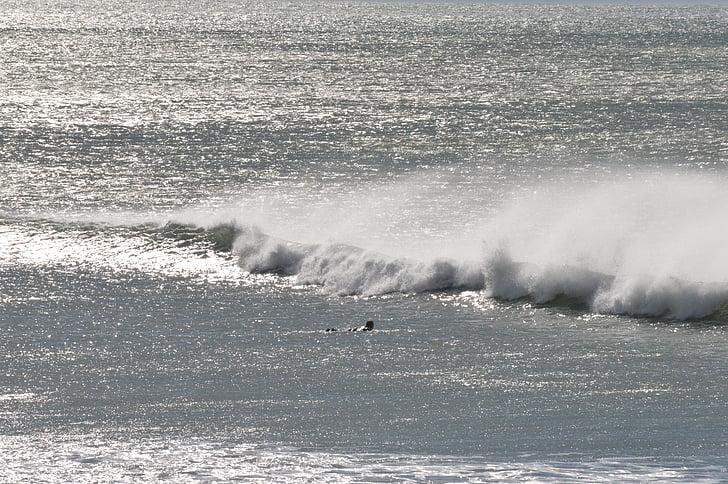 sjøen, bølge, surfing