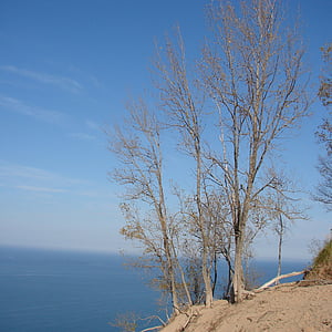 copac, goale, toamna, frumos, nisip, apa, Michigan