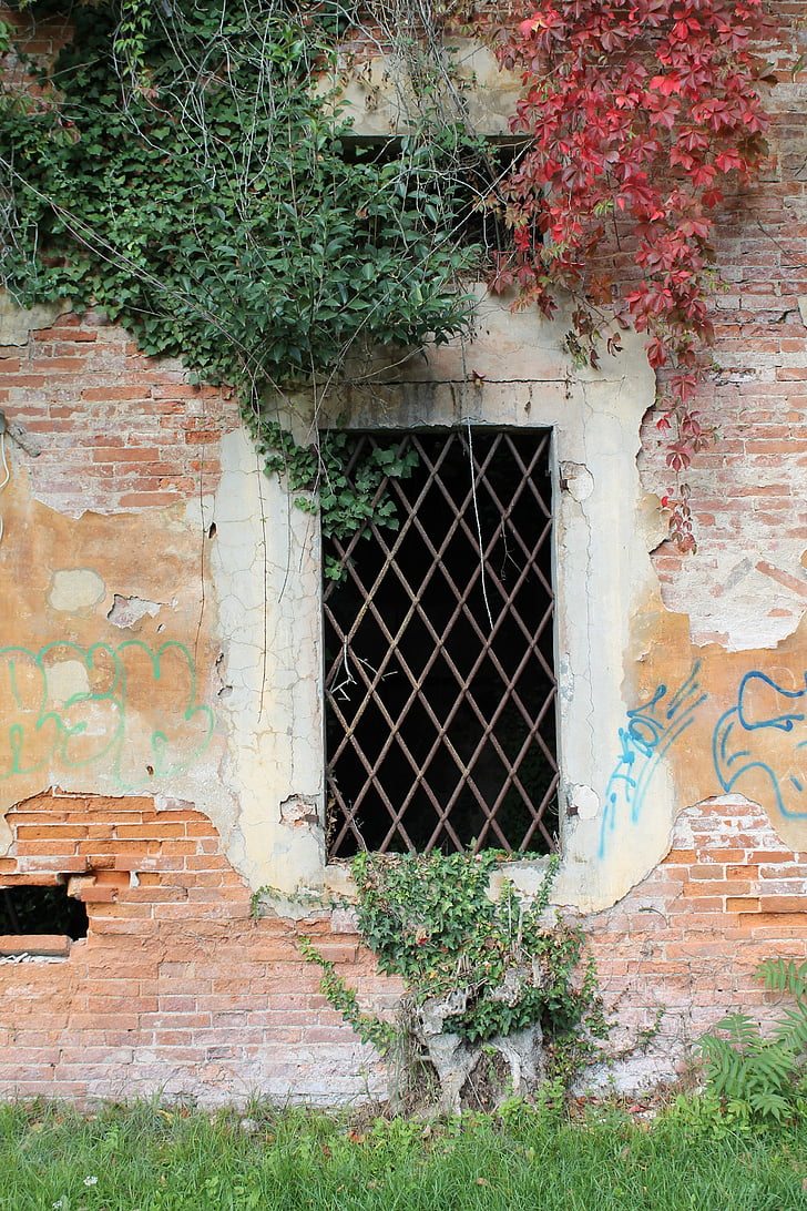window, railing, building