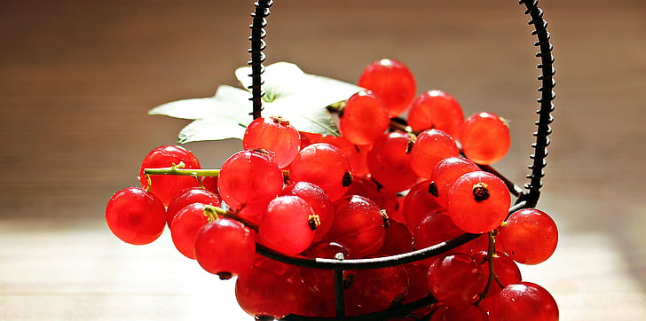raisins de Corinthe, fruits, groseille rouge, rouge, fruits, sure, Sweet