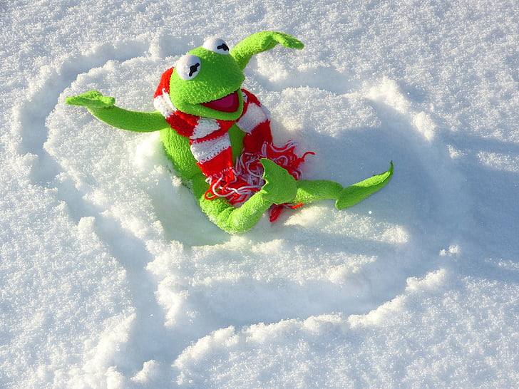 Kermit, żaba, zabawa, śnieg, zimowe, zimno