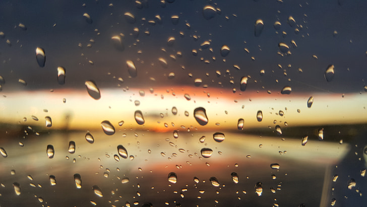 regn, drypp, kveld, solen, regndråpe, våte, vann
