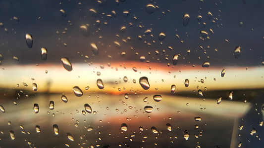 déšť, odkapávací misky, večer, slunce, dešťová kapka, mokrý, voda