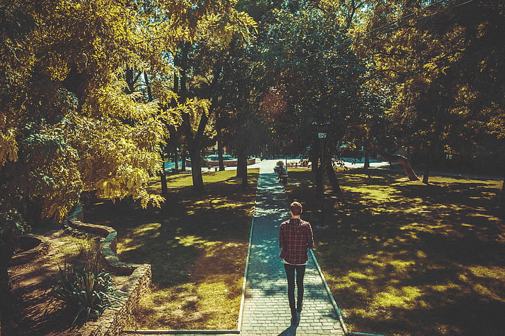 Cobblestones, homem, Parque, caminho, pessoa, árvores, caminhando