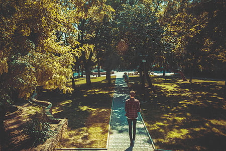 cobblestones, man, park, path, person, trees, walking