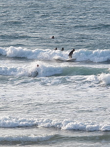 Lướt sóng, Bãi biển, tôi à?, sóng, làn sóng, nước, Thiên nhiên
