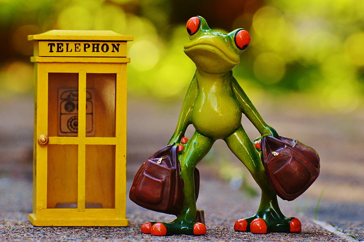 frog, phone, travel, book, by phone, miss, phone booth